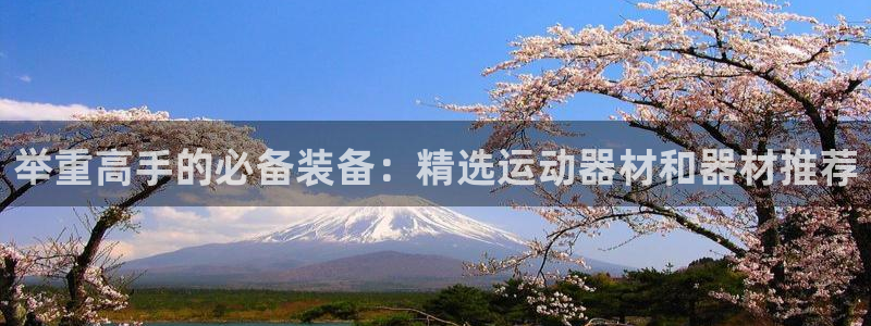 好博体育官网下载招商电话号码:举重高手的必备装备:精选运动器